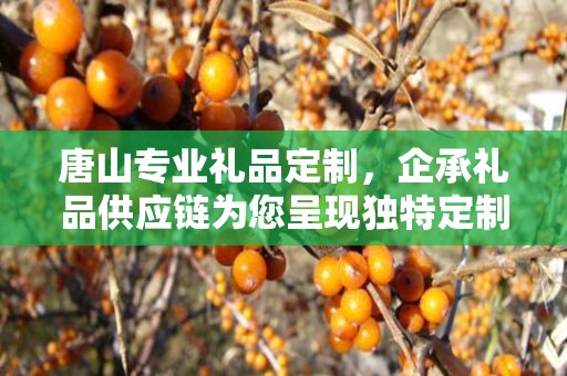 唐山专业礼品定制，企承礼品供应链为您呈现独特定制体验